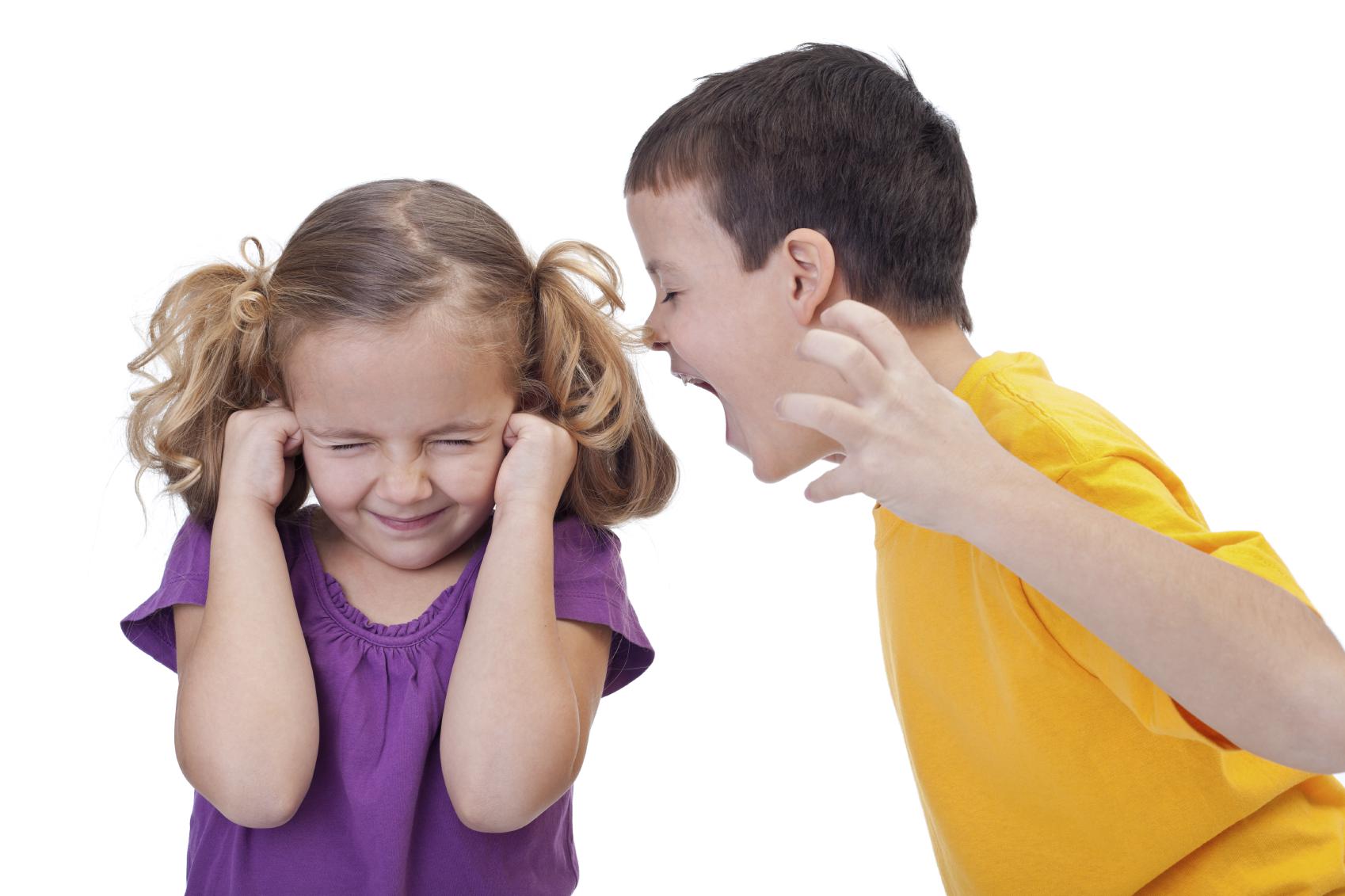 What To Do When Your Child IS The Bully The Blue Elephant Learning Center